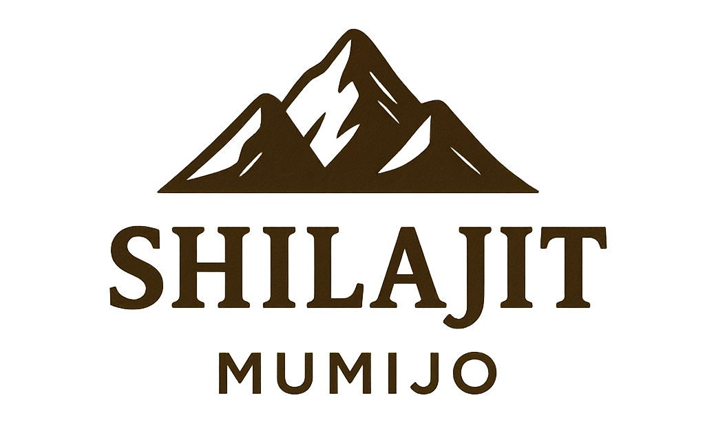 Shilajit Kapseln Fairvital